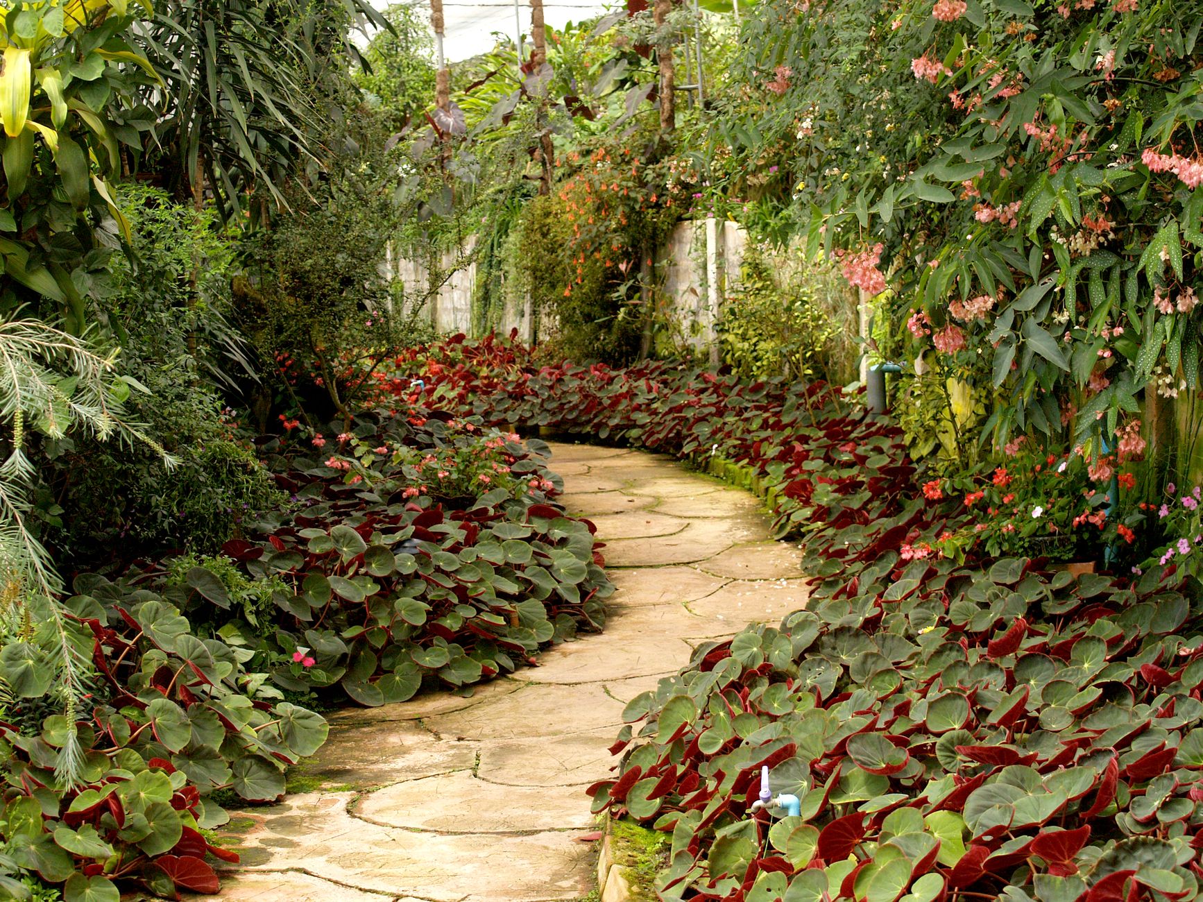 Web Design for Landscapers in London: Win Garden Design and Maintenance Contracts From Google