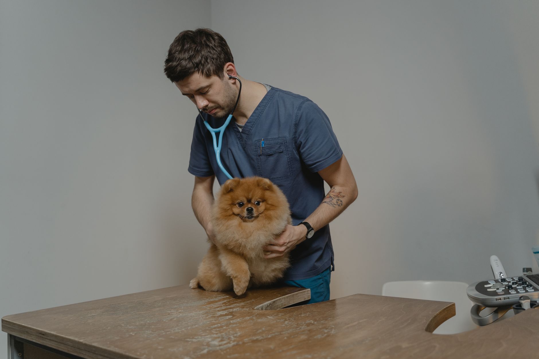 Web Design for Veterinary Practices in London: Build Trust and Fill Appointment Books
